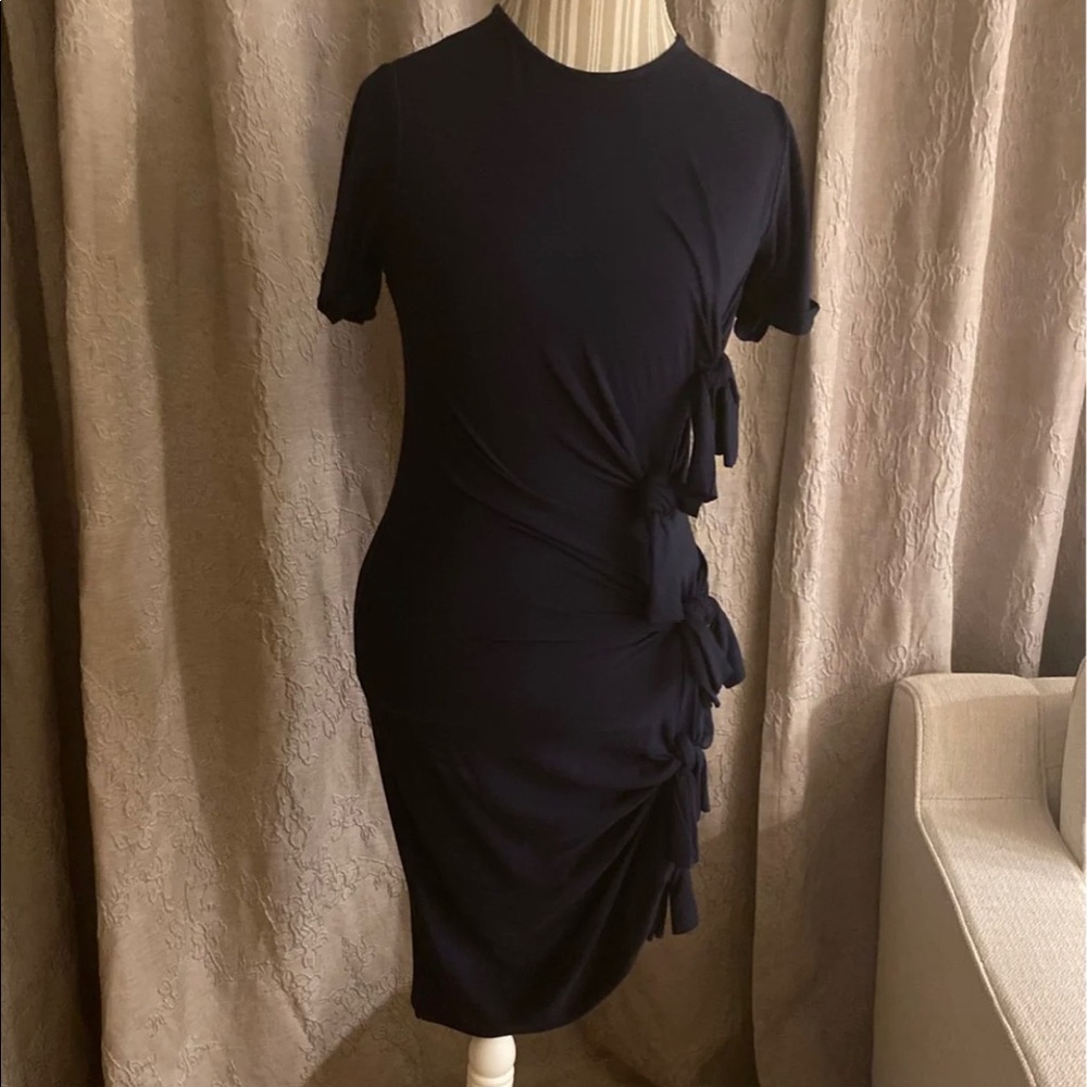 Beautiful Gryphon dress